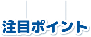 注目ポイント