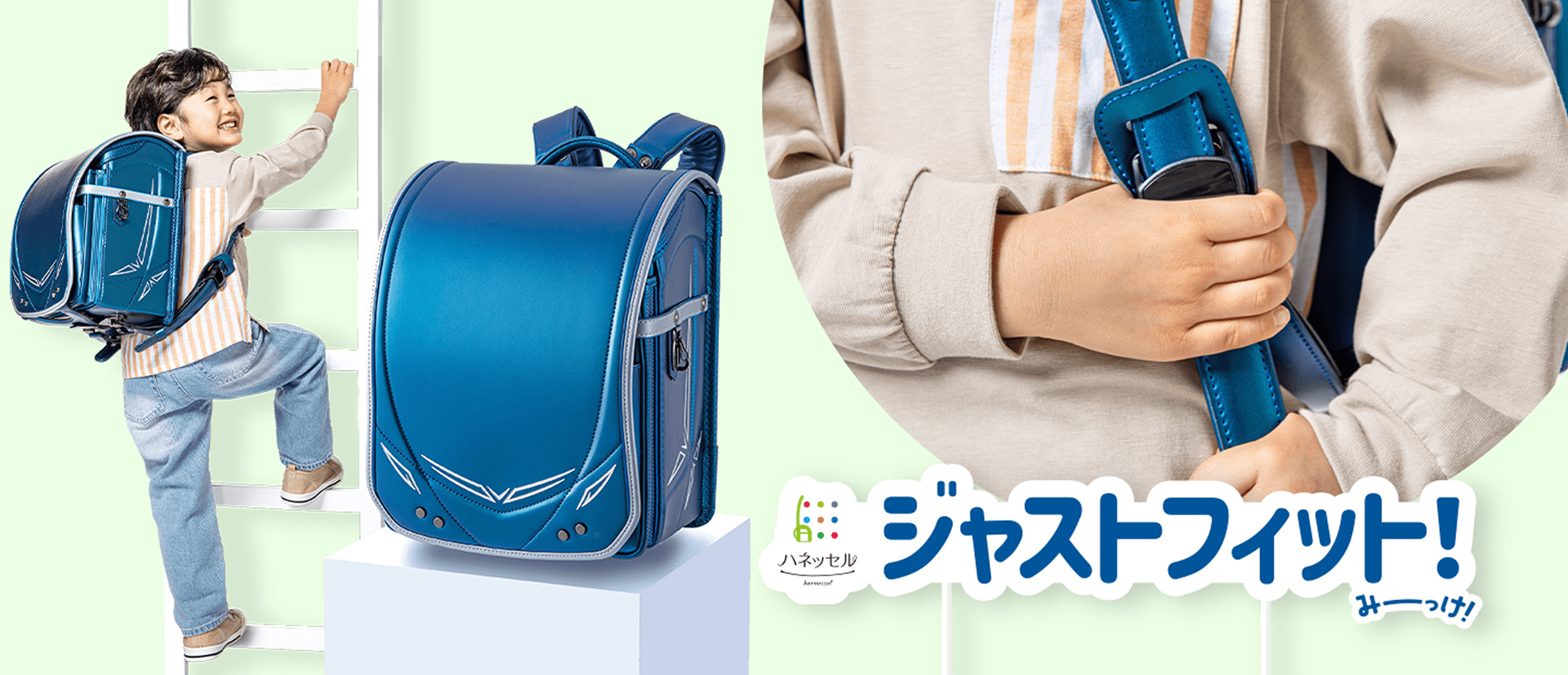 ハネッセル ジャストフィットみーっけ！