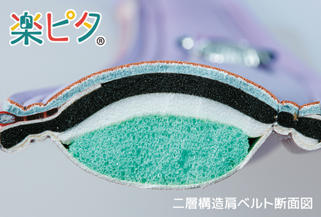 二層構造ベルト断面図