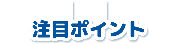 注目ポイント