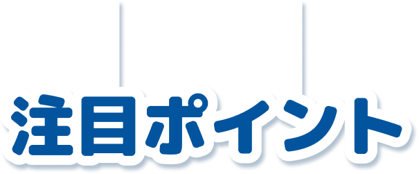 注目ポイント