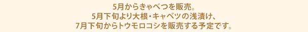 5月からきゃべつを販売。5月下旬より大根・キャベツの浅漬け、7月下旬からトウモロコシを販売する予定です。