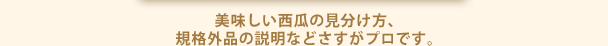 美味しい西瓜の見分け方、規格外品の説明などさすがプロです。