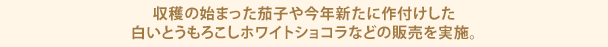 収穫の始まった茄子や今年新たに作付けした白いとうもろこしホワイトショコラなどの販売を実施。