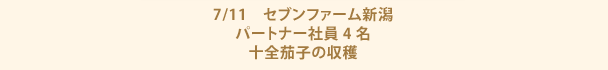 7/11　セブンファーム新潟　パートナー社員4名　十全茄子の収穫