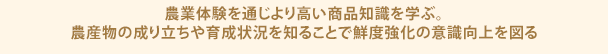 農業体験を通じより高い商品知識を学ぶ。農産物の成り立ちや育成状況を知ることで鮮度強化の意識向上を図る