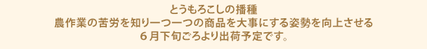 とうもろこしの播種 農作業の苦労を知り一つ一つの商品を大事にする姿勢を向上させる 6月下旬ごろより出荷予定です。