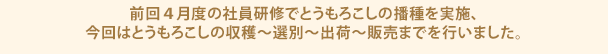 前回４月度の社員研修でとうもろこしの播種を実施、今回はとうもろこしの収穫～選別～出荷～販売までを行いました。