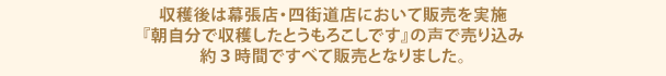 収穫後は幕張店・四街道店において販売を実施『朝自分で収穫したとうもろこしです』の声で売り込み約３時間ですべて販売となりました。