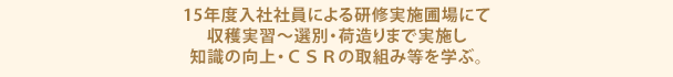 15年度入社社員による研修実施圃場にて収穫実習～選別・荷造りまで実施し知識の向上・ＣＳＲの取組み等を学ぶ。