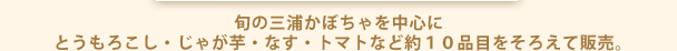 旬の三浦かぼちゃを中心にとうもろこし・じゃが芋・なす・トマトなど約１０品目をそろえて販売。