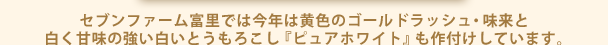 セブンファーム富里では今年はは黄色のゴールドラッシュ・味来と白く甘味の強い白いとうもろこし『ピュアホワイト』も作付けしています。