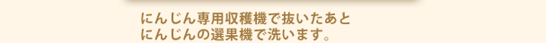 にんじん専用収穫機で抜いたあとにんじんの選果機で洗います。