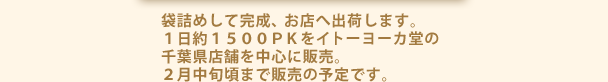 袋詰めして完成、お店へ出荷します。1日約1500ＰＫをイトーヨーカ堂の千葉県店舗を中心に販売。２月中旬頃まで販売の予定です。