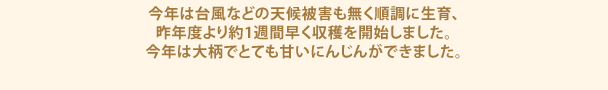 今年は台風などの天候被害も無く順調に生育、昨年度より約1週間早く収穫を開始しました。今年は大柄でとても甘いにんじんができました。