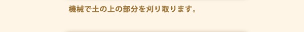 機械で土の上の部分を刈り取ります。