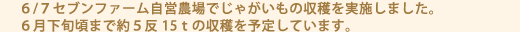 ６/７セブンファーム自営農場でじゃがいもの収穫を実施しました。６月下旬頃まで約５反15ｔの収穫を予定しています。