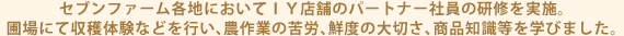 セブンファーム各地においてＩＹ店舗のパートナー社員の研修を実施。圃場にて収穫体験などを行い、農作業の苦労、鮮度の大切さ、商品知識等を学びました。