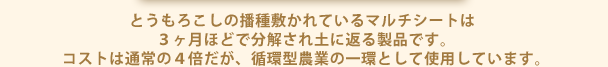 とうもろこしの播種敷かれているマルチシートは ３ヶ月ほどで分解され土に返る製品です。 コストは通常の４倍だが、循環型農業の一環として使用しています。