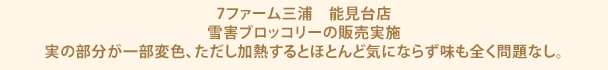 7ファーム三浦　能見台店　雪害ブロッコリーの販売実施　実の部分が一部変色、ただし加熱するとほとんど気にならず味も全く問題なし。