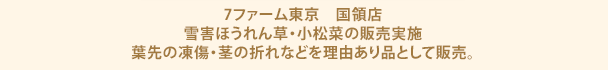 7ファーム東京　国領店　雪害ほうれん草・小松菜の販売実施　葉先の凍傷・茎の折れなどを理由あり品として販売。