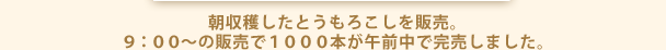 朝収穫したとうもろこしを販売。９：００～の販売で１０００本が午前中で完売しました。