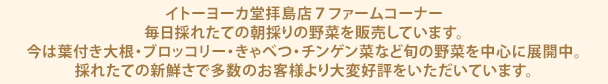 イトーヨーカ堂拝島店７ファームコーナー　　毎日採れたての朝採りの野菜を販売しています。今は葉付き大根・ブロッコリー・きゃべつ・チンゲン菜など旬の野菜を中心に展開中。採れたての新鮮さで多数のお客様より大変好評をいただいています。