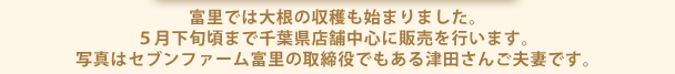 富里では大根の収穫も始まりました。５月下旬頃まで千葉県店舗中心に販売を行います。写真はセブンファーム富里の取締役でもある津田さんご夫妻です。