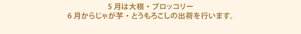 5月は大根・ブロッコリー
            6月からじゃが芋・とうもろこしの出荷を行います。