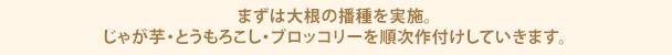 まずは大根の播種を実施。じゃが芋・とうもろこし・ブロッコリーを順次作付けしていきます。