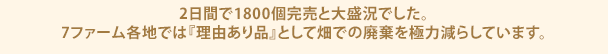 2日間で1800個完売と大盛況でした。7ファーム各地では『理由あり品』として畑での廃棄を極力減らしています。