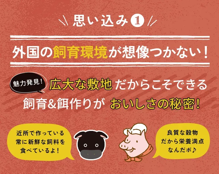 思い込み① 外国の飼育環境が想像つかない！