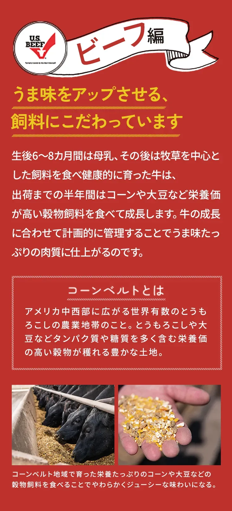 ビーフ編 うま味をアップさせる、飼料にこだわっています