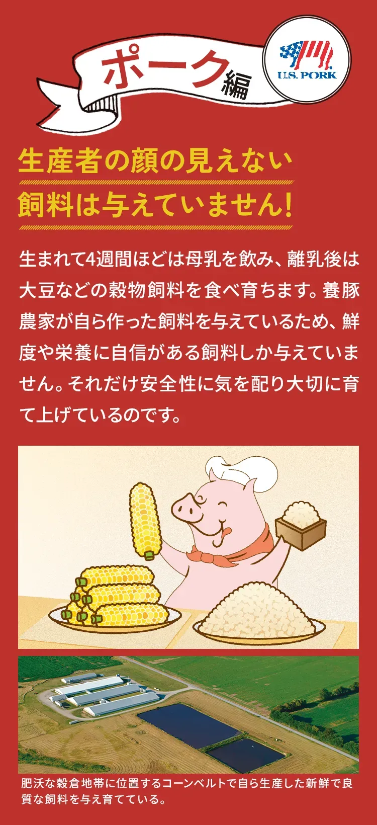 ポーク編 生産者の顔の見えない飼料は与えていません！