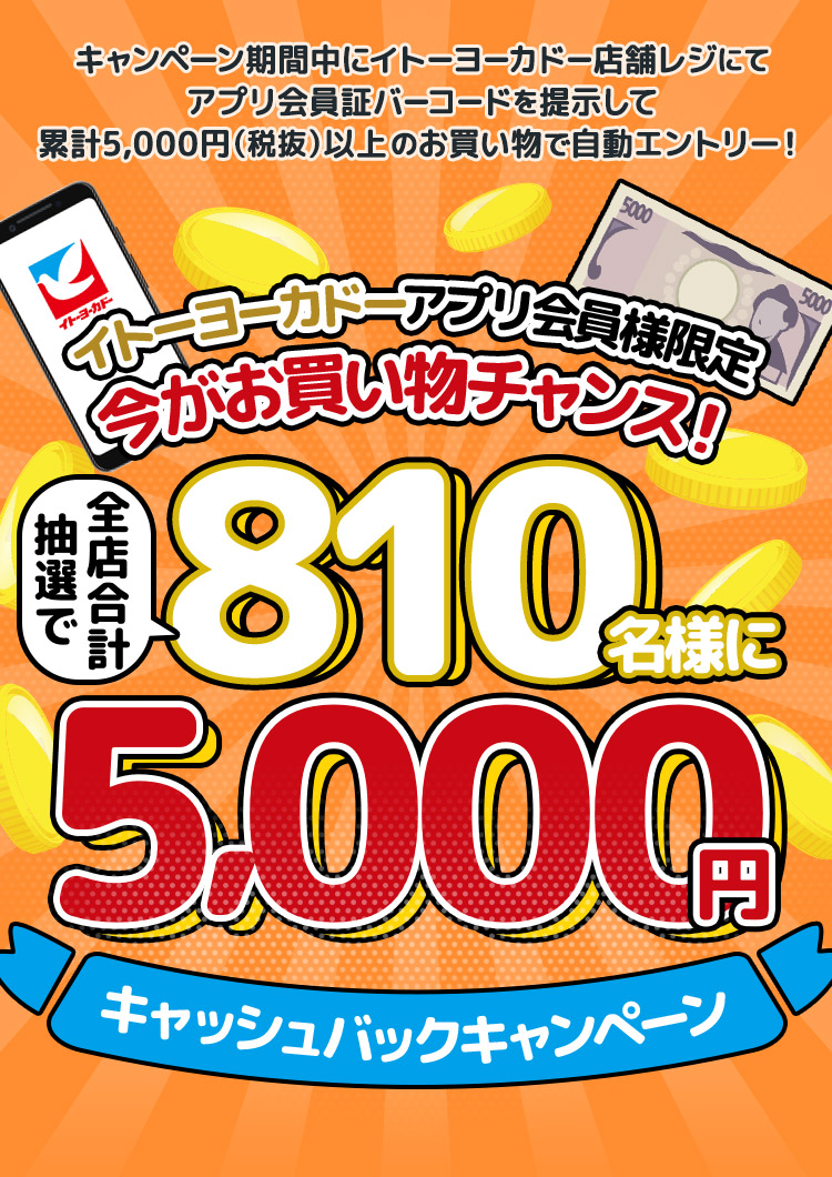 抽選で810名様に5,000円キャッシュバックキャンペーン