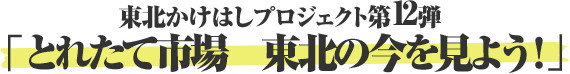 東北かけはしプロジェクト第12弾 「とれたて市場 東北の今を見よう！」