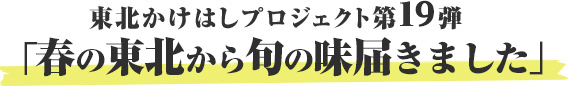 東北かけはしプロジェクト第19弾 「春の東北から旬の味届きました」