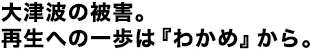 大津波の被害。再生への一歩は『わかめ』から。