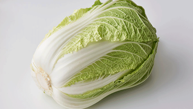 調理法別 定番アレンジ白菜レシピ 調理法別 定番アレンジ白菜レシピ