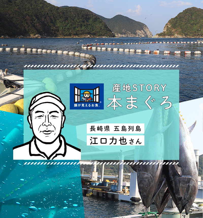 顔が見える食品 特集 顔が見えるお魚 産地story 本まぐろ