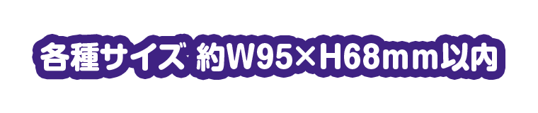 各種サイズ 約W95×H68mm以内