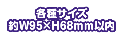 各種サイズ 約W95×H68mm以内