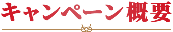 キャンペーン概要