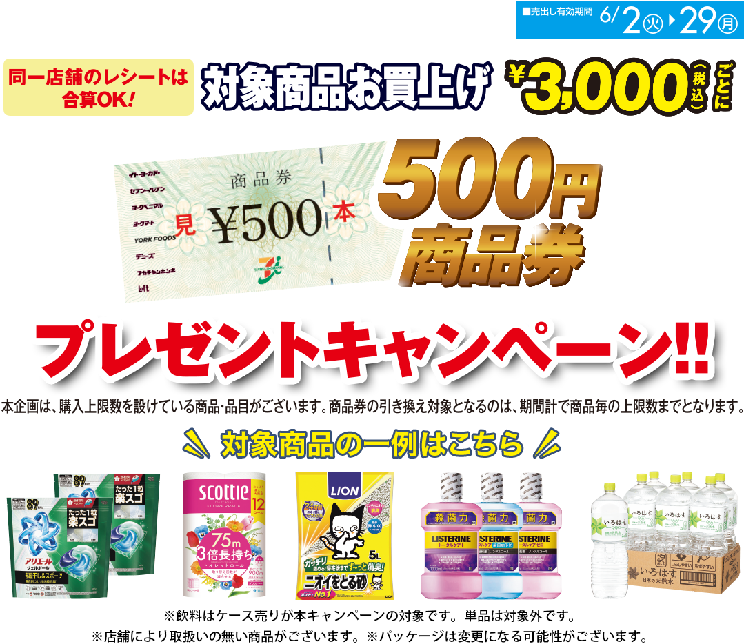 商品券プレゼントキャンペーン/売り出し有効期間：6月2日(火)~6月29日(月)
