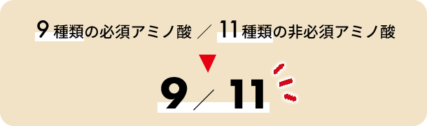 9種類の必須アミノ酸/11種類の非必須アミノ酸→9/11