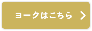 ヨークはこちら