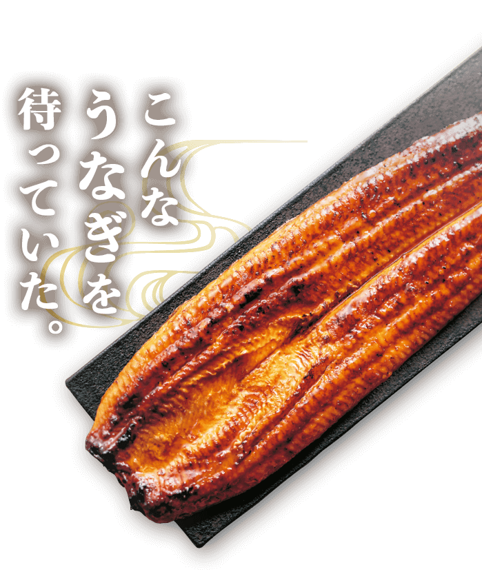 こんなうなぎを待っていた。
