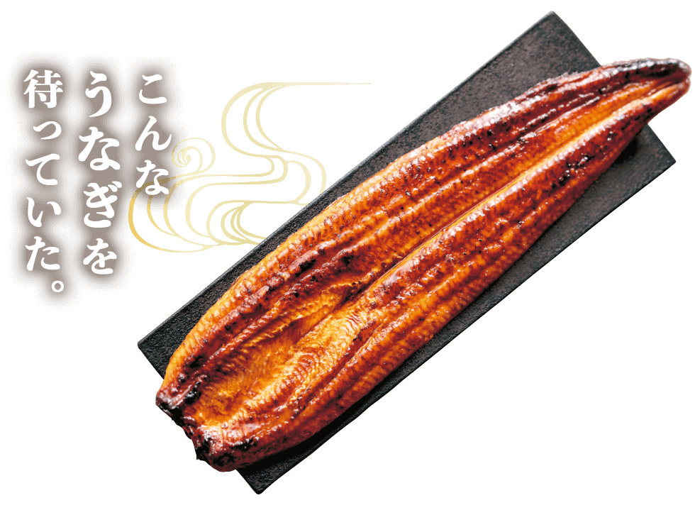 こんなうなぎを待っていた。