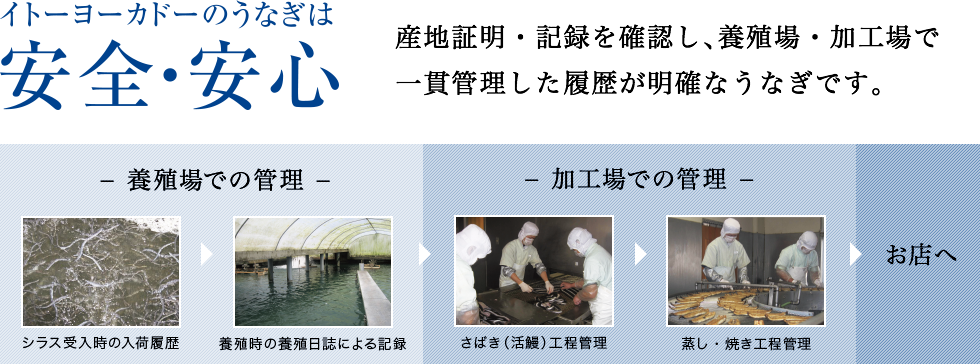 イトーヨーカドーのうなぎは安全・安心