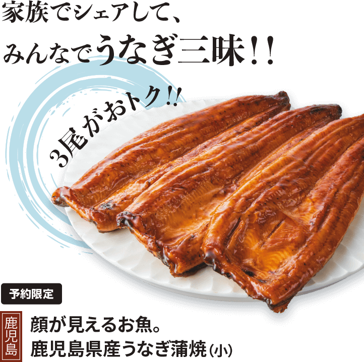 うな重(台湾産うなぎ使用)